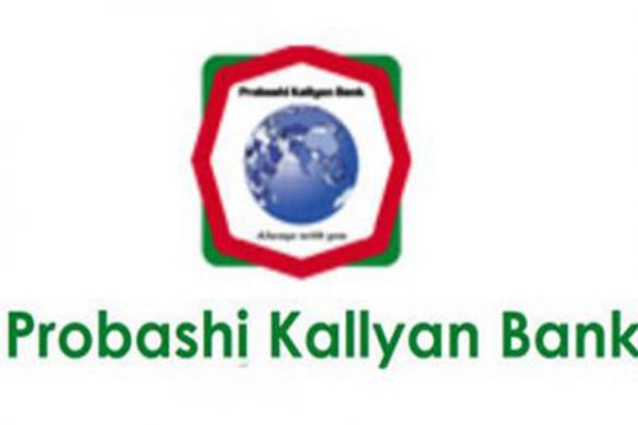 Probashi Kallyan Bank Assistant Programmer