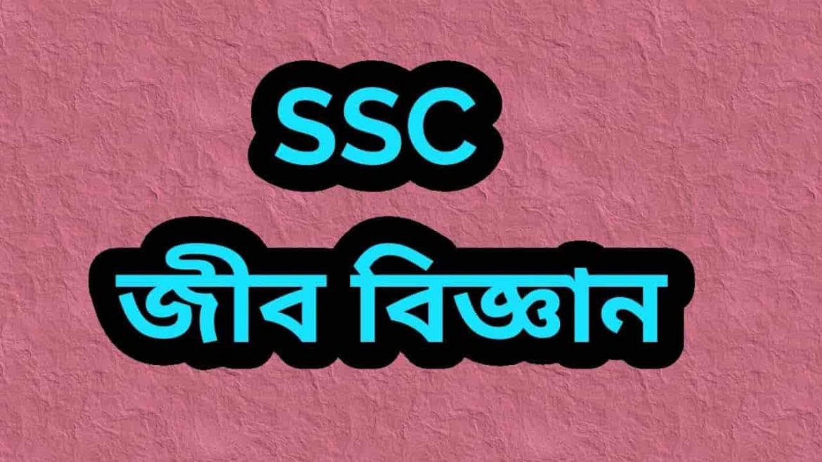 এসএসসি জীব বিজ্ঞান MCQ প্রশ্ন ও সমাধান